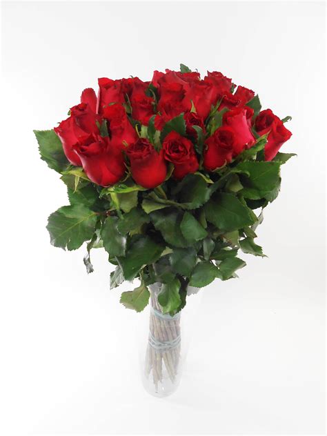 Fotografia kytice červených ruží s plyšovým medvedíkom.