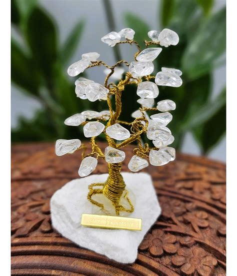 Výber stromčeka šťastia podľa kameňa