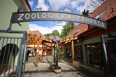 fotografia sloníc Maji a Guly v Zoo Bojnice