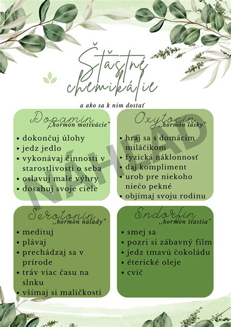 Koláž obrázkov zobrazujúcich rôzne druhy výzdoby triedy: menovky, plagáty s matematickými úlohami, rozvrhy hodín a tematické obrázky.
