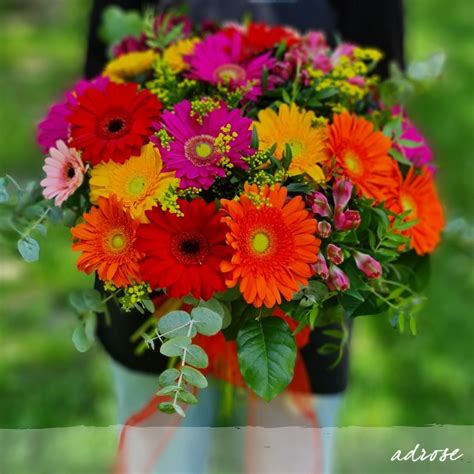 Informatívna infografika o symbolike obľúbených kvetov pri narodeninových gratuláciách