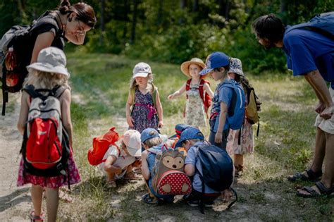 Fotografia: Lesná škôlka s mladými vianočnými stromčekmi