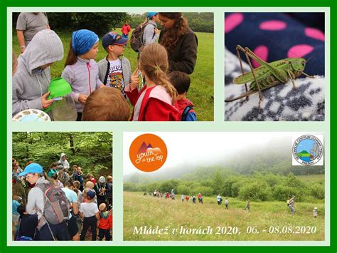 koláž vtipných fotografií detí na svadbe v rôznych situáciách