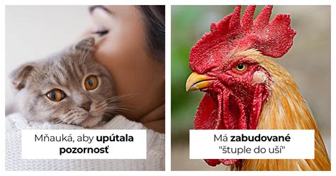 ukážka hotových ručne vyrobených masiek zo zvieracej ríše