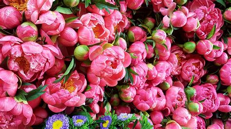 ilustrácia prilepovania kanzashi kvetiny na stred potiahnutej spony