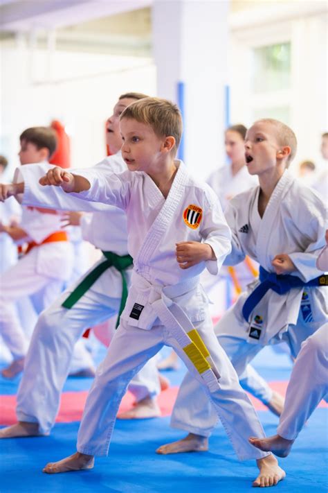 Športovci počas karate súťaže v Nitre