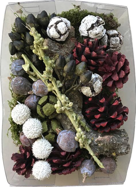 Inšpirácia na dekorácie: aranžmán sušených citrusov, škorice, badiánu a šišiek na zelenom základe