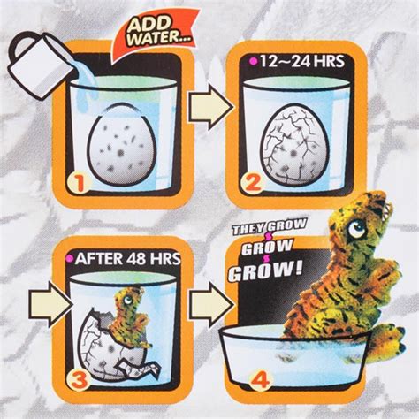 Infografika znázorňujúca jednotlivé kroky liahnutia dinosaura z vajíčka