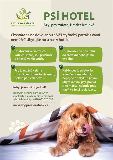 Ilustrácia opusteného psa pred útulkom.