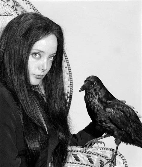 ilustrácia zobrazujúca rodinu Noemi a jej synov v Moabskej krajine