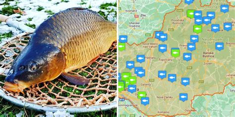 Tematická ilustrácia - historická cesta kapra na vianočný stôl, mapa s vyznačením pôvodu a rozšírenia kapra