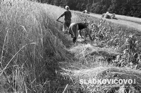 Schéma vývoja opernej réžie v prvej polovici 20. storočia s dôrazom na diela Bedřicha Smetanu