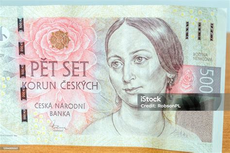 Portrét Boženy Němcovej