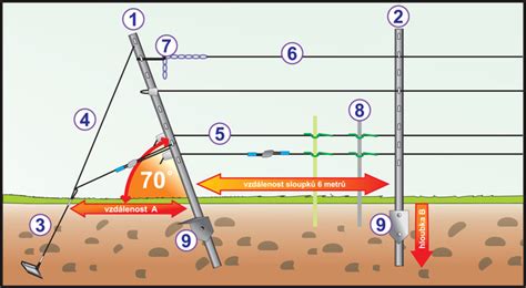 Schéma ekologického vinohradu a gravitačného spracovania hrozna