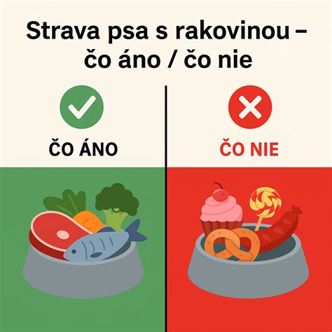 infografika - Zloženie torty pre batoľatá: čo áno a čo nie