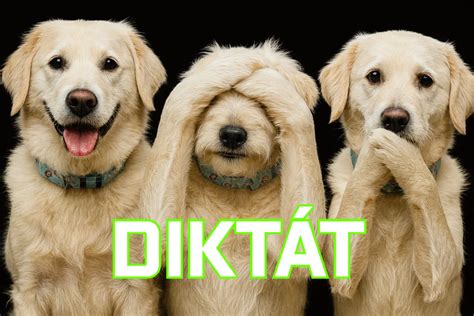 Ilustračná fotografia reklamovaného výtlačku s viditeľnými chybami