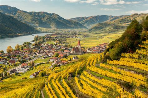 Fotografia kvitnúcich marhúľ v Údolí Wachau.