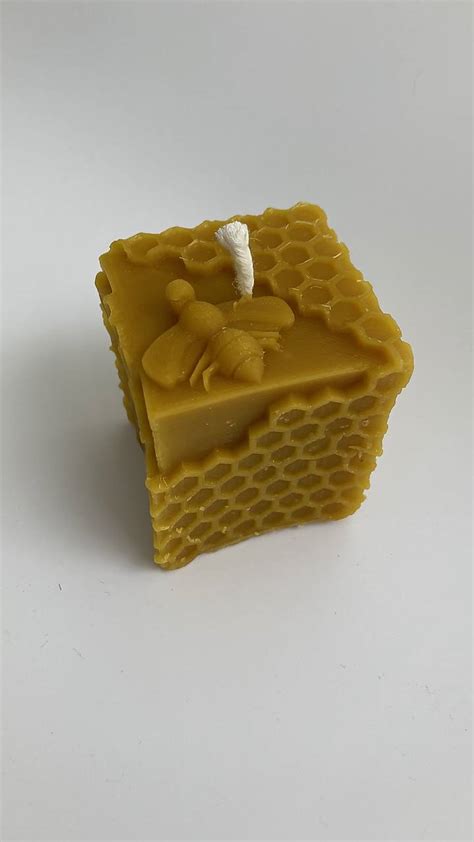 schéma procesu tvorby včelieho vosku včelou