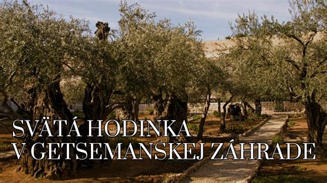 Schéma Getsemanskej záhrady a symbolika pašiového týždňa