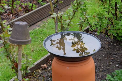 Nádoby s vodou a vejármi pre hostí pri horúcom počasí