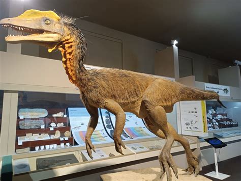 Gigantická fosília dinosaura v Americkom prírodovednom múzeu