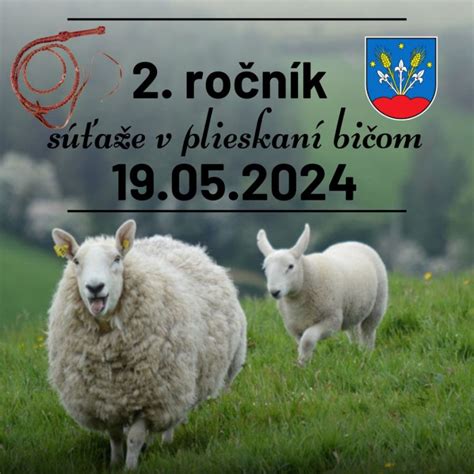 Ilustračná fotografia súťaže v práskaní bičom alebo strihaní oviec