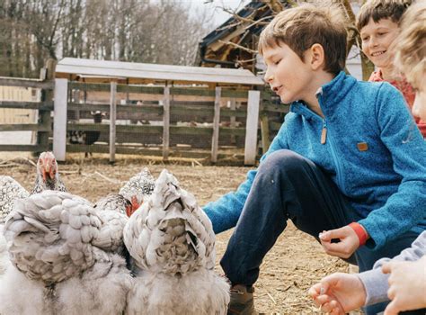 Zvieratá na FarmaParku Lubina počas zimnej sezóny