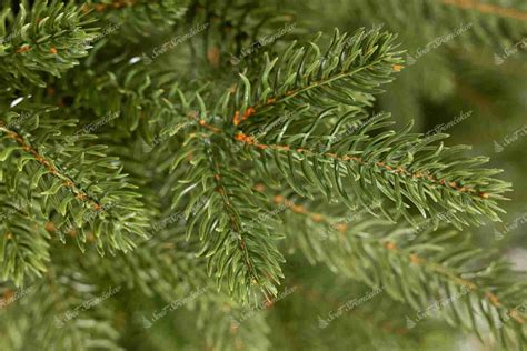 Detailný záber na ihličie 3D vianočného stromčeka