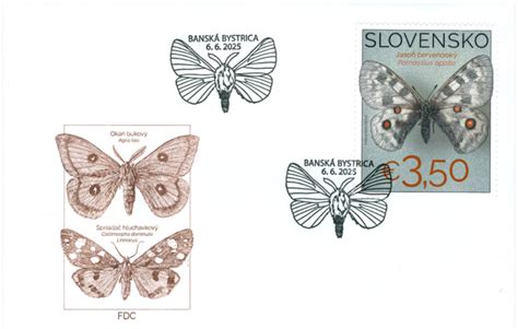 Ilustrácia motýľov a ruží symbolizujúcich nežnosť