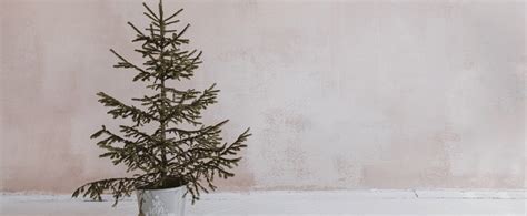 Zátišie s moderným vianočným stromčekom v minimalistickom interiéri