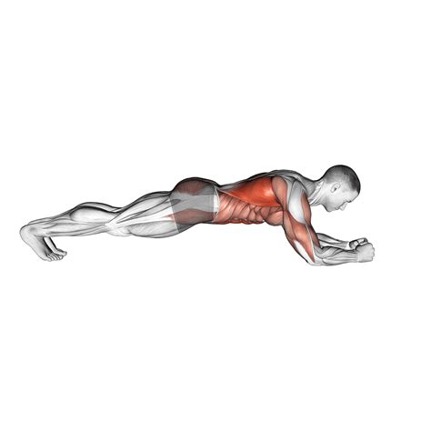 Schéma pozície dosky (Plank Pose)