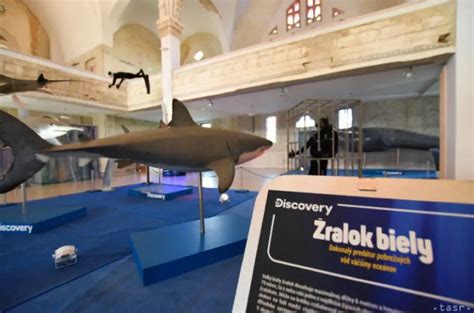 Fotografia exponátov zo smaltovníctva alebo historickej továrne v Lučenci