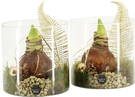 Detail aranžmánu z prírodných materiálov v sklenenej nádobe