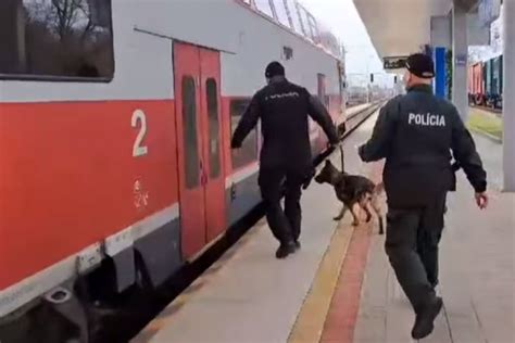 policajti a psovodi prehľadávajú priestory nočného klubu