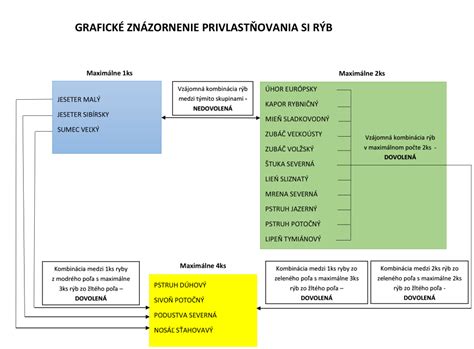 Grafické znázornenie anjelov zvestujúcich pastierom