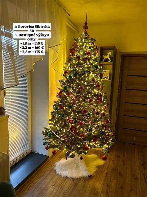 obrázok znázorňujúci vianočnú atmosféru, napríklad rodinu pri stromčeku