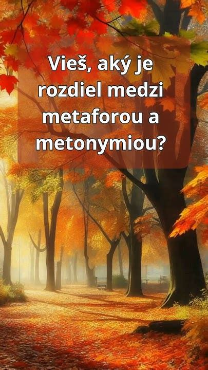 Ilustrácia znázorňujúca rozdiely medzi metaforou a metonymiou
