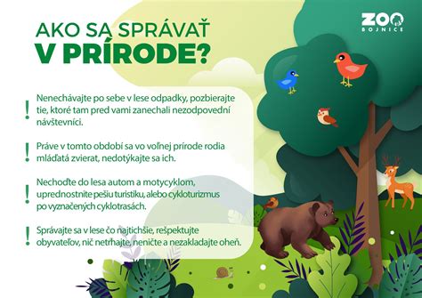 ilustrácia symbolizujúca význam mena - medvedica v prírode