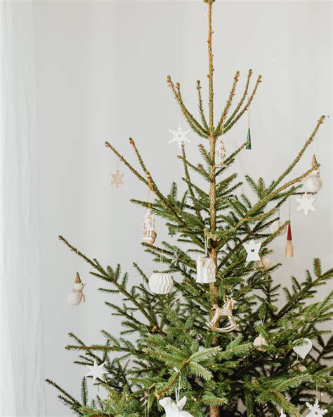 ilustrácia zobrazujúca tradičný vianočný stromček s horiacimi sviečkami