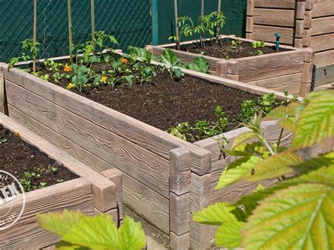 Záhon s čerstvo zasadenými sadenicami jahôd