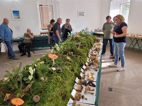 Návštevníci si prezrúvajú exponáty na záhradkárskej výstave