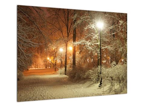 Zasnežený Central Park s panorámou mesta