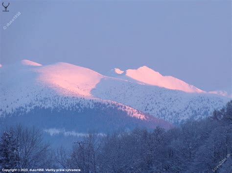 Ilustračné foto: Zimný les so snehom