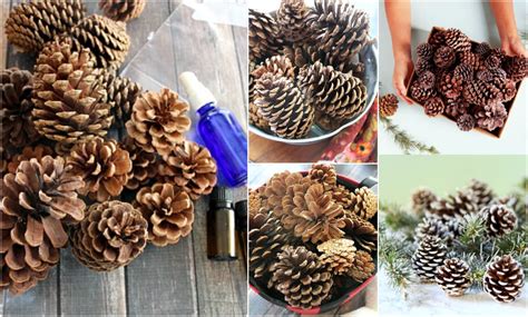 DIY vianočné ozdoby zo sušeného ovocia a šišiek
