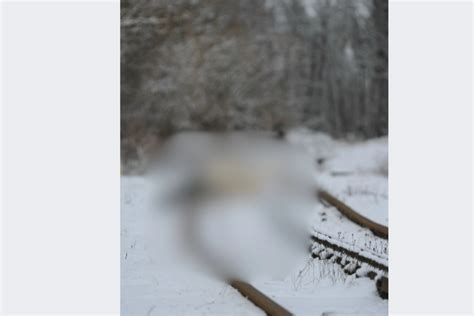 Ilustrácia snehovej sestry, ktorá sa objavuje v zasneženej krajine.