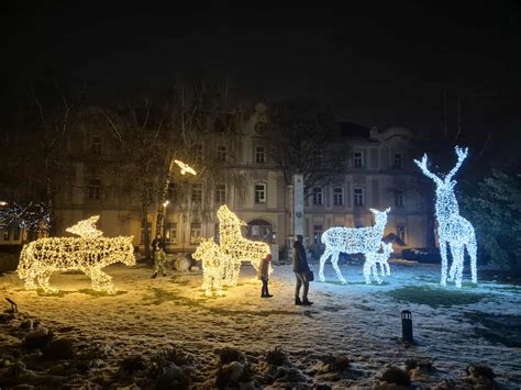 Ilustračná fotografia vianočnej dekorácie zobrazujúcej zvieratá.