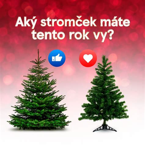 Živý a umelý vianočný stromček vedľa seba