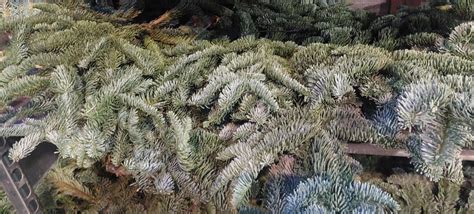 Koláž rôznych monochromatických vianočných stromčekov (zlatý, strieborný, červený)