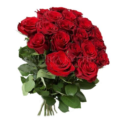 Kytica ruží ako symbol prekvapenia a radosti