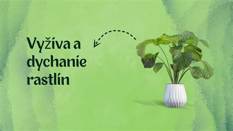 Schéma: Správne zalievanie prenosných rastlín v kontajneri